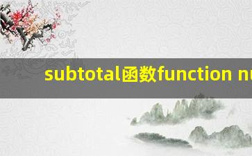 subtotal函数function num